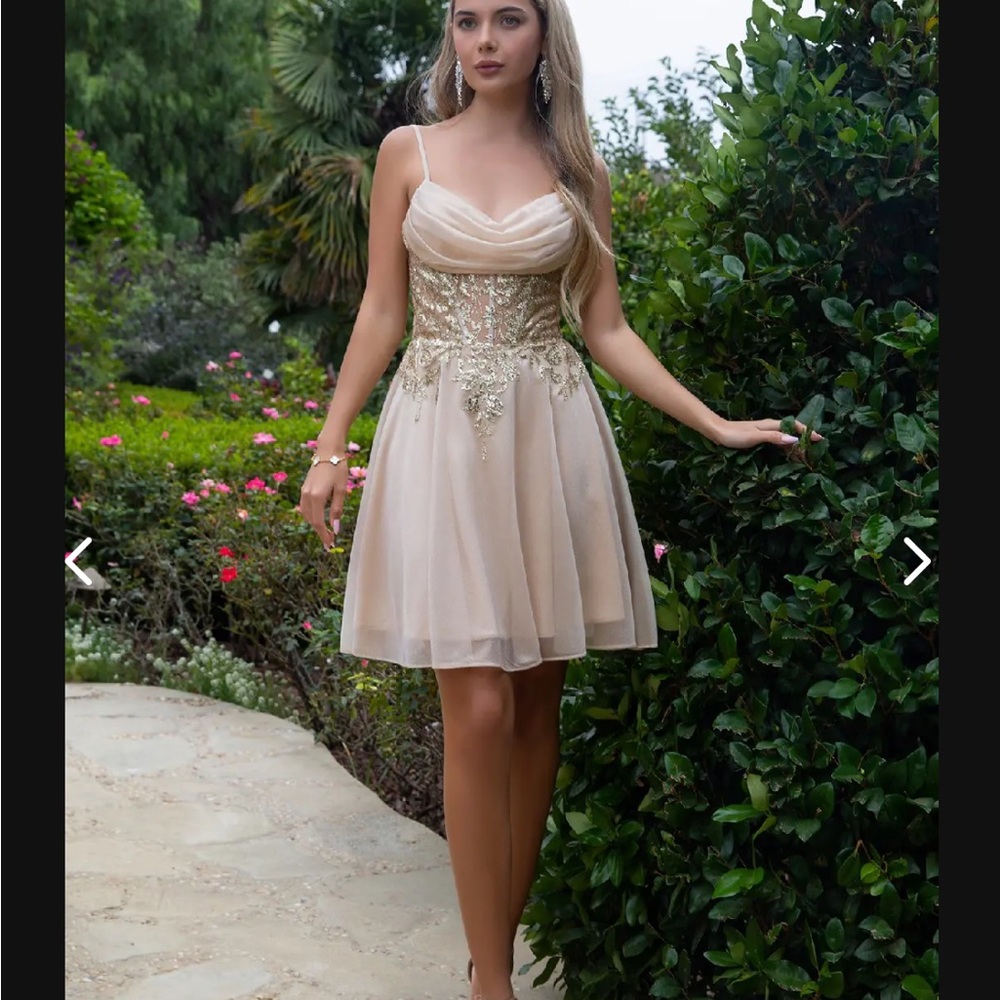 Elegant Cream and Gold Embellished Mini Dress